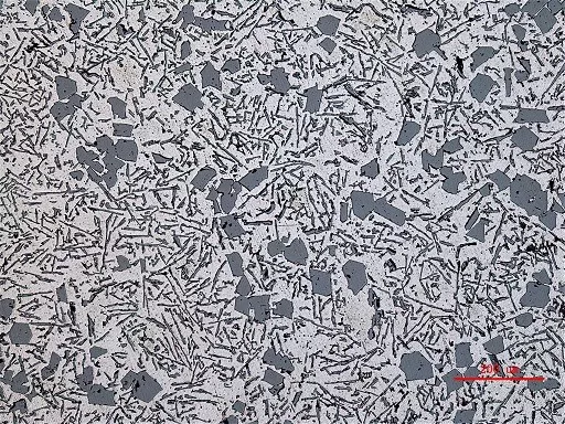 课堂| 金相典型特征样品图谱 (七) : 有色金属合金组织-徕卡显微系统(